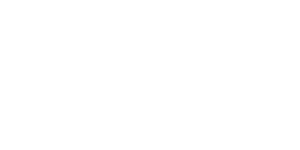 databricks logo
