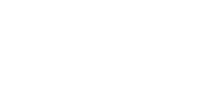 palantir logo